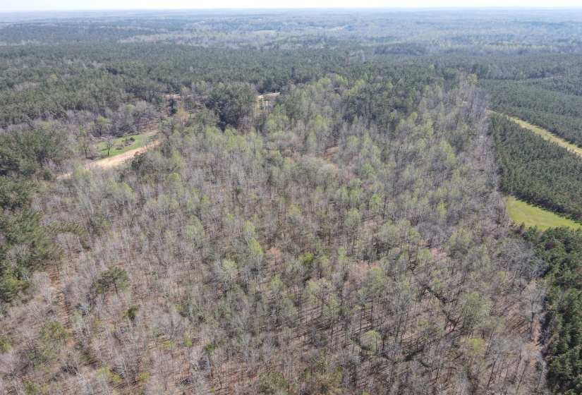 1042 BEAUTY RD, Bethel Springs, Tennessee 38315, ,Land,For Sale,BEAUTY,10218032