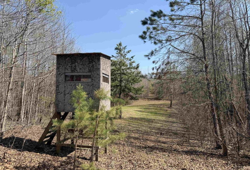 1042 BEAUTY RD, Bethel Springs, Tennessee 38315, ,Land,For Sale,BEAUTY,10218032