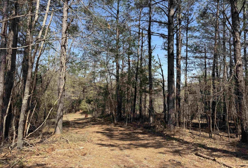 1042 BEAUTY RD, Bethel Springs, Tennessee 38315, ,Land,For Sale,BEAUTY,10218032