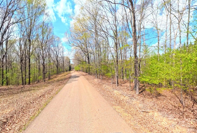 0 DACUS RD, Medon, Tennessee 38356, ,Land,For Sale,DACUS,10218046