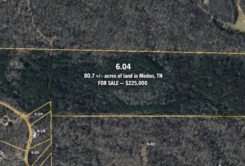 0 DACUS RD, Medon, Tennessee 38356, ,Land,For Sale,DACUS,10218046
