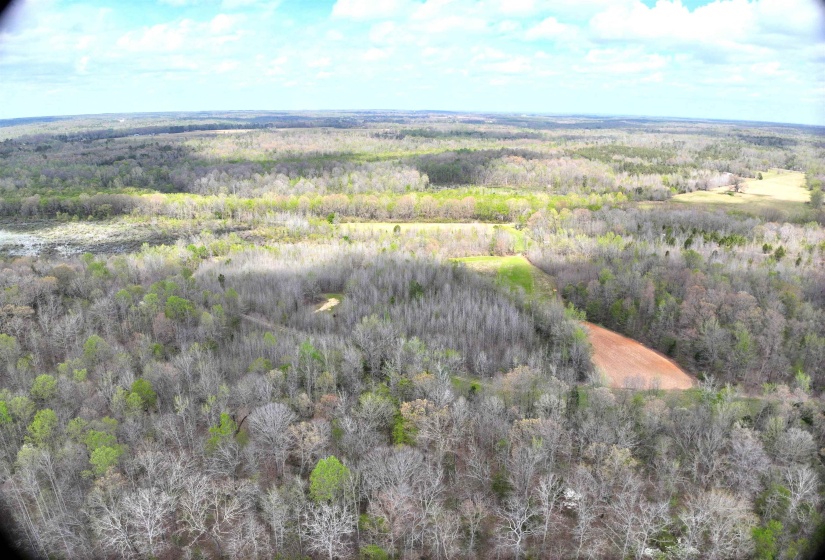 0 DACUS RD, Medon, Tennessee 38356, ,Land,For Sale,DACUS,10218046