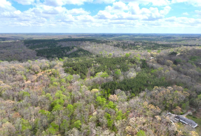 0 DACUS RD, Medon, Tennessee 38356, ,Land,For Sale,DACUS,10218046