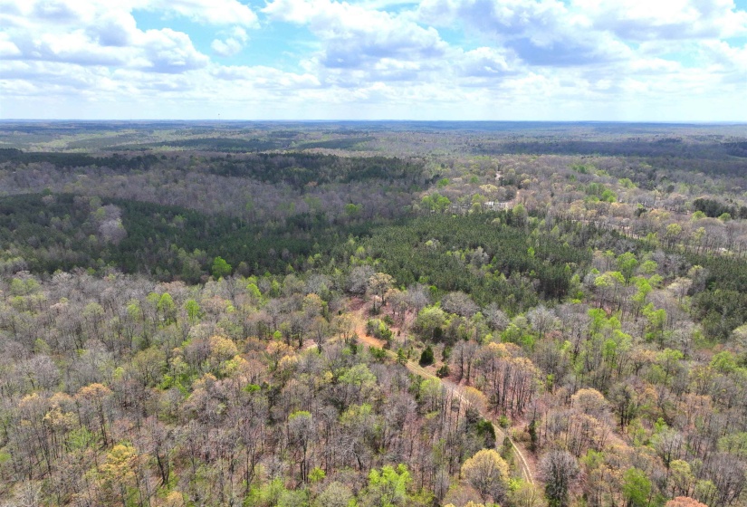 0 DACUS RD, Medon, Tennessee 38356, ,Land,For Sale,DACUS,10218046