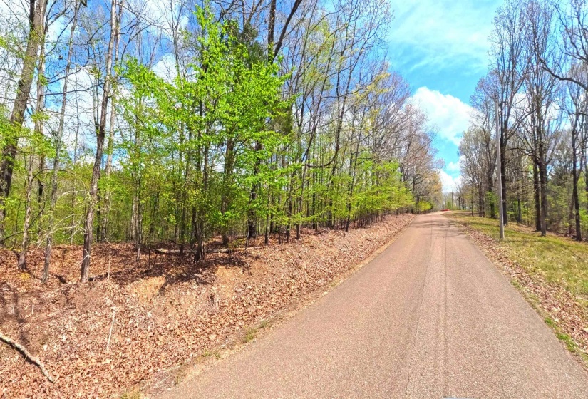0 DACUS RD, Medon, Tennessee 38356, ,Land,For Sale,DACUS,10218046