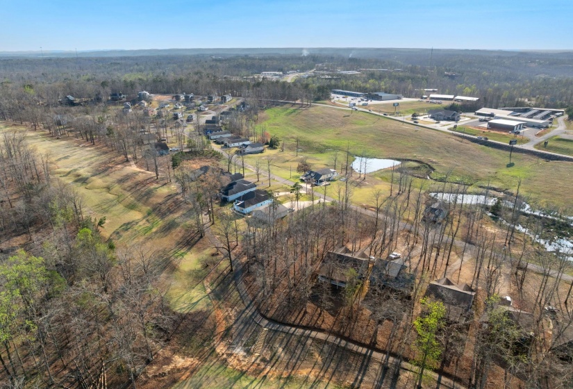 TBD LOT 36 PING HILL CV, Counce, Tennessee 38326, 0 , 0 ,0,Land,For Sale,LOT 36 PING HILL,0,10218098