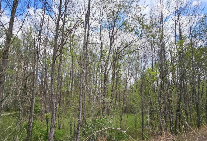 0 WATKINS RD, Millington, Tennessee 38053, ,Land,For Sale,WATKINS,10218147