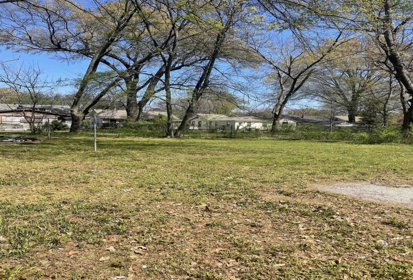 View of grassy yard