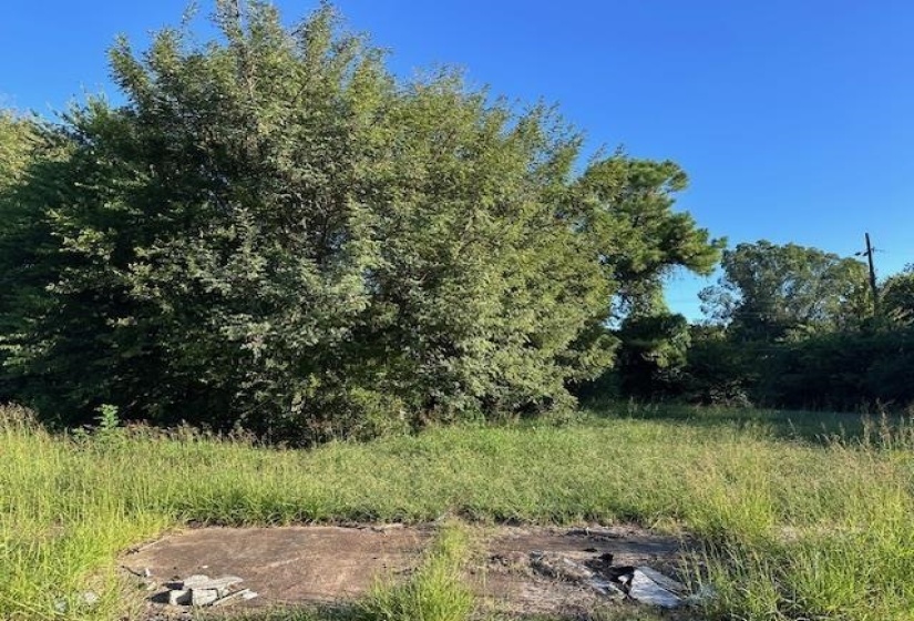 View of local wilderness