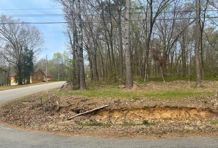 0 LAKEVIEW DR, Unincorporated, Tennessee 38017, 0 , 0 ,0,Land,For Sale,LAKEVIEW,0,10218184
