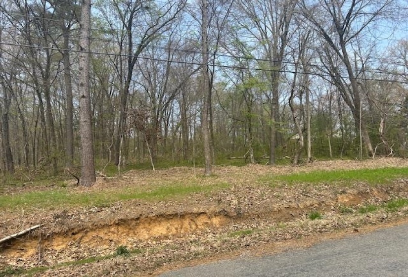 0 LAKEVIEW DR, Unincorporated, Tennessee 38017, 0 , 0 ,0,Land,For Sale,LAKEVIEW,0,10218184