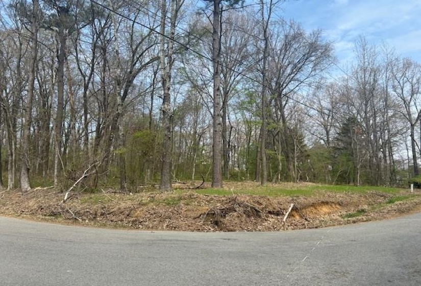 0 LAKEVIEW DR, Unincorporated, Tennessee 38017, 0 , 0 ,0,Land,For Sale,LAKEVIEW,0,10218184