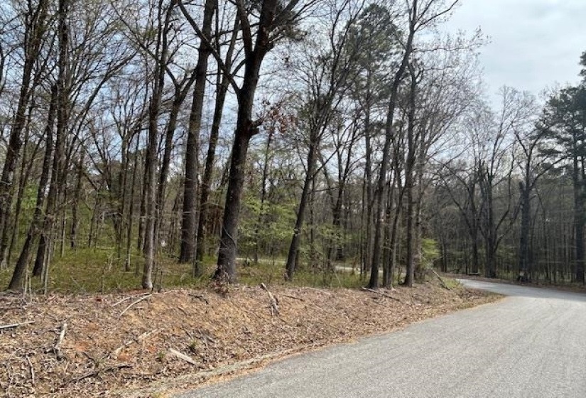 0 LAKEVIEW DR, Unincorporated, Tennessee 38017, 0 , 0 ,0,Land,For Sale,LAKEVIEW,0,10218184