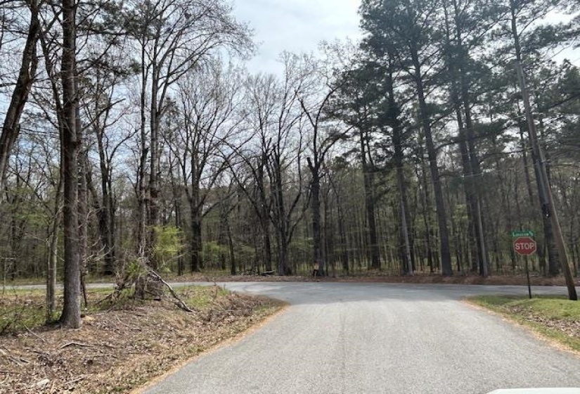 0 LAKEVIEW DR, Unincorporated, Tennessee 38017, 0 , 0 ,0,Land,For Sale,LAKEVIEW,0,10218184