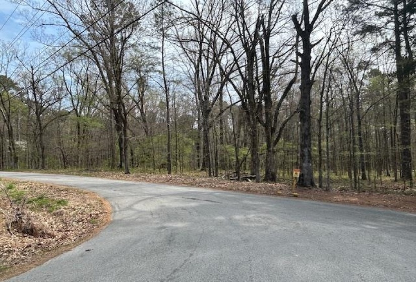 0 LAKEVIEW DR, Unincorporated, Tennessee 38017, 0 , 0 ,0,Land,For Sale,LAKEVIEW,0,10218184