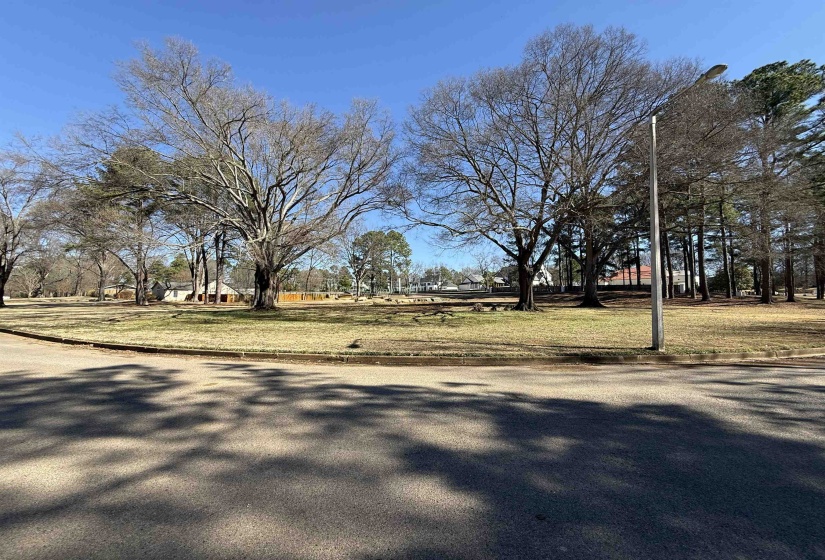 View of asphalt street with curbs