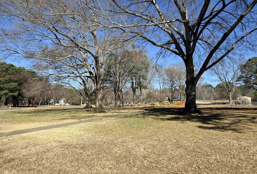 View of grassy yard