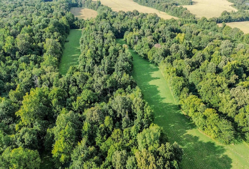 3315 HWY 195 HWY, Somerville, Tennessee 38068, 0 , 0 ,0,Land,For Sale,HWY 195,0,10218232
