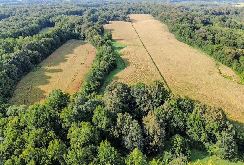 3315 HWY 195 HWY, Somerville, Tennessee 38068, 0 , 0 ,0,Land,For Sale,HWY 195,0,10218232