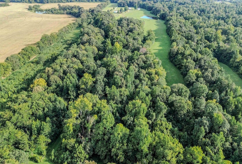 3315 HWY 195 HWY, Somerville, Tennessee 38068, 0 , 0 ,0,Land,For Sale,HWY 195,0,10218232