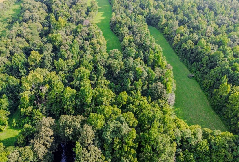 3315 HWY 195 HWY, Somerville, Tennessee 38068, 0 , 0 ,0,Land,For Sale,HWY 195,0,10218232