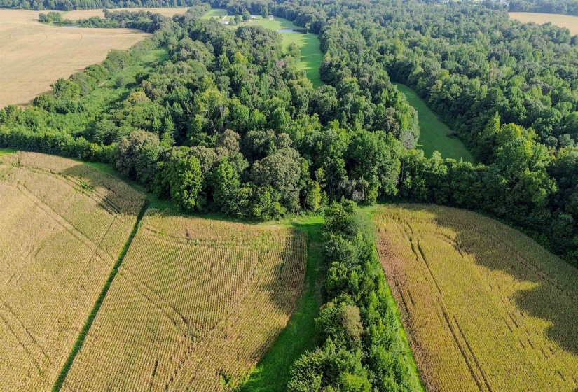 3315 HWY 195 HWY, Somerville, Tennessee 38068, 0 , 0 ,0,Land,For Sale,HWY 195,0,10218232