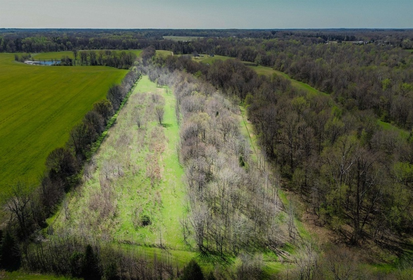 3315 HWY 195 HWY, Somerville, Tennessee 38068, 0 , 0 ,0,Land,For Sale,HWY 195,0,10218232