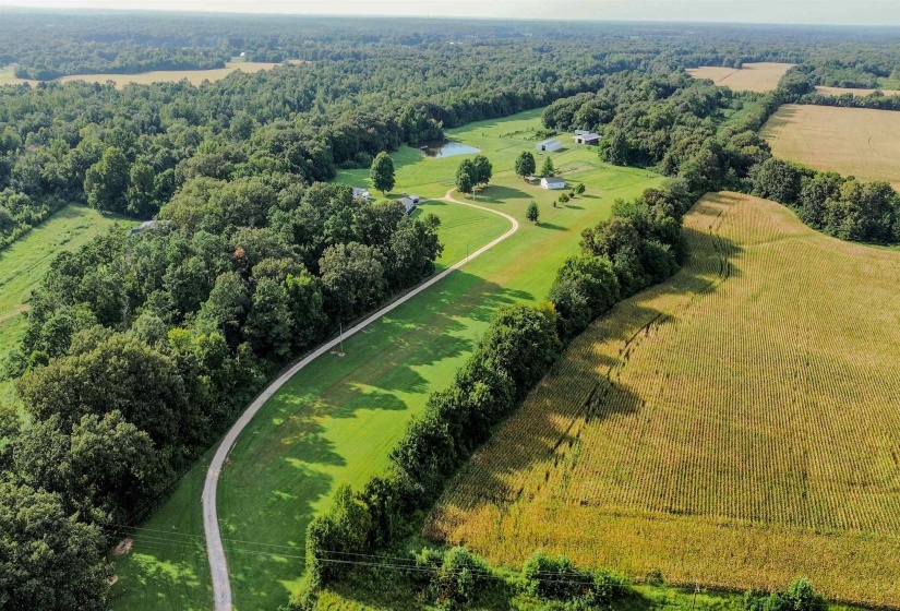 3315 HWY 195 HWY, Somerville, Tennessee 38068, 0 , 0 ,0,Land,For Sale,HWY 195,0,10218232