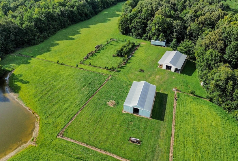 3315 HWY 195 HWY, Somerville, Tennessee 38068, 0 , 0 ,0,Land,For Sale,HWY 195,0,10218232
