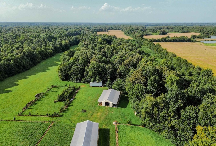 3315 HWY 195 HWY, Somerville, Tennessee 38068, 0 , 0 ,0,Land,For Sale,HWY 195,0,10218232