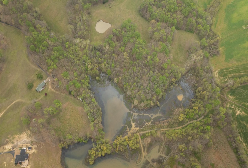 00 HUNTERS TRACE DR, Ripley, Tennessee 38063, ,Land,For Sale,HUNTERS TRACE,10218235