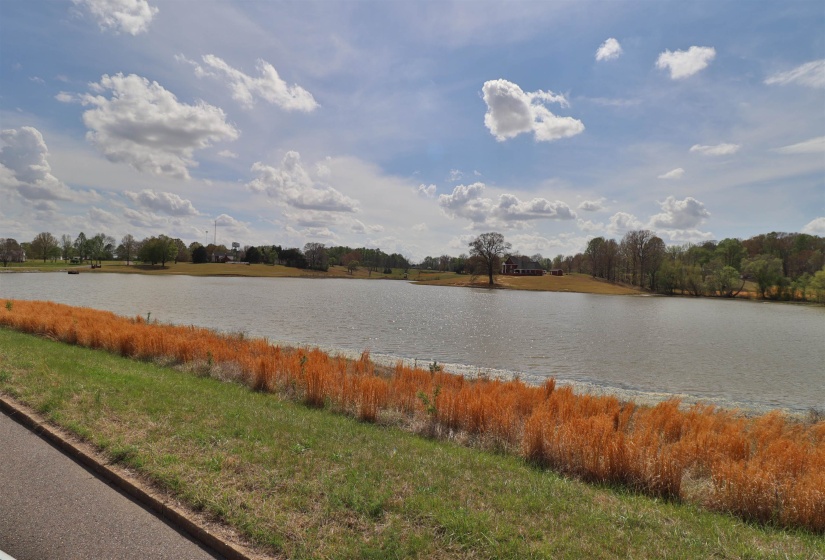 00 HUNTERS TRACE DR, Ripley, Tennessee 38063, ,Land,For Sale,HUNTERS TRACE,10218235