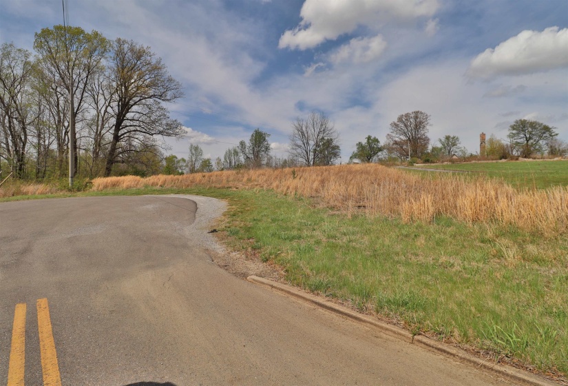 00 HUNTERS TRACE DR, Ripley, Tennessee 38063, ,Land,For Sale,HUNTERS TRACE,10218235