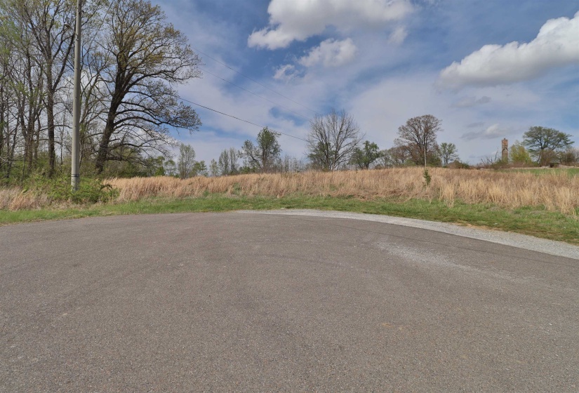 00 HUNTERS TRACE DR, Ripley, Tennessee 38063, ,Land,For Sale,HUNTERS TRACE,10218235