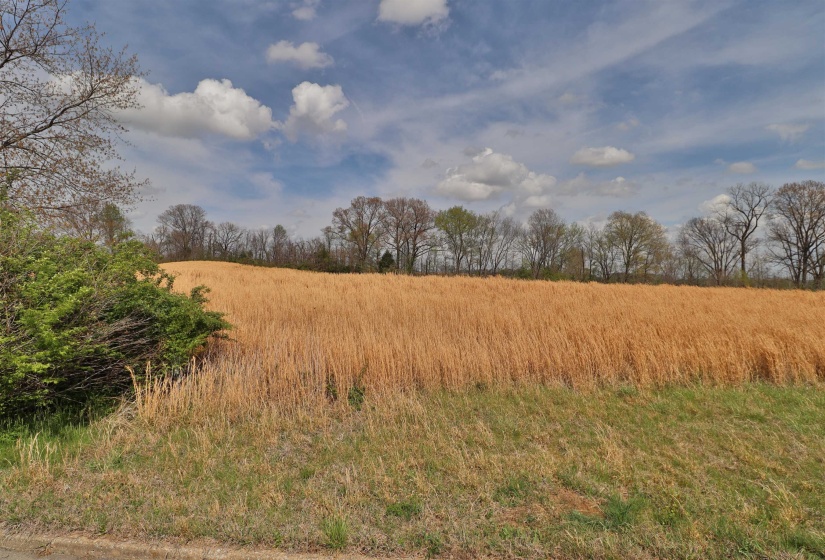 00 HUNTERS TRACE DR, Ripley, Tennessee 38063, ,Land,For Sale,HUNTERS TRACE,10218235