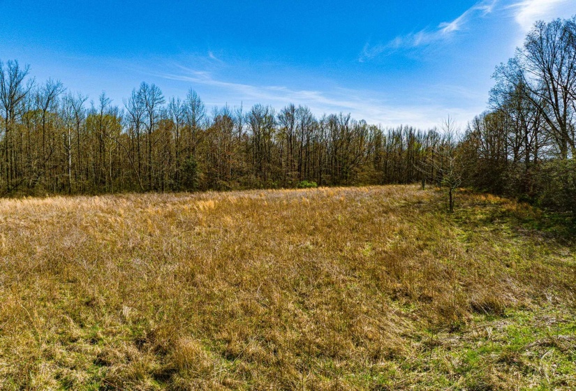 0 HAMMLETT RD, Beech Bluff, Tennessee 38313, 0 , 0 ,0,Land,For Sale,HAMMLETT,0,10218254