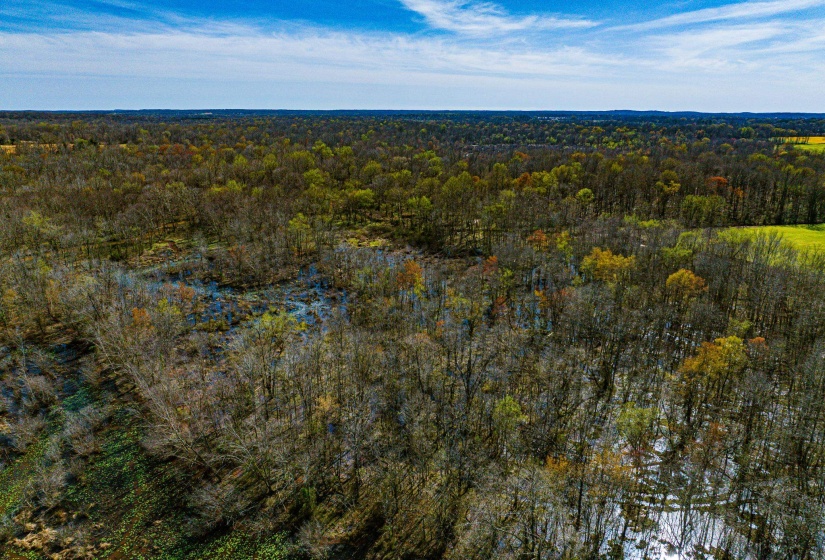 0 HAMMLETT RD, Beech Bluff, Tennessee 38313, 0 , 0 ,0,Land,For Sale,HAMMLETT,0,10218254