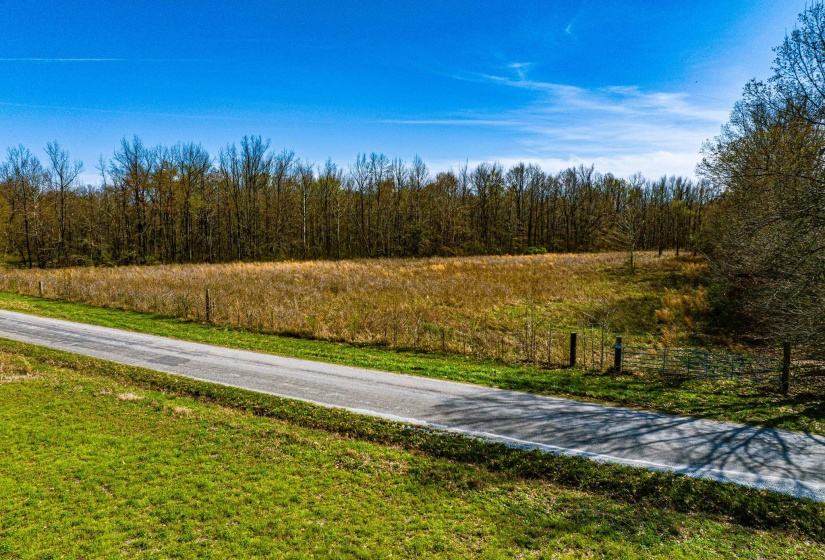 0 HAMMLETT RD, Beech Bluff, Tennessee 38313, 0 , 0 ,0,Land,For Sale,HAMMLETT,0,10218254
