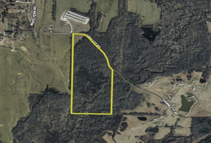0 HAMMLETT RD, Beech Bluff, Tennessee 38313, 0 , 0 ,0,Land,For Sale,HAMMLETT,0,10218254