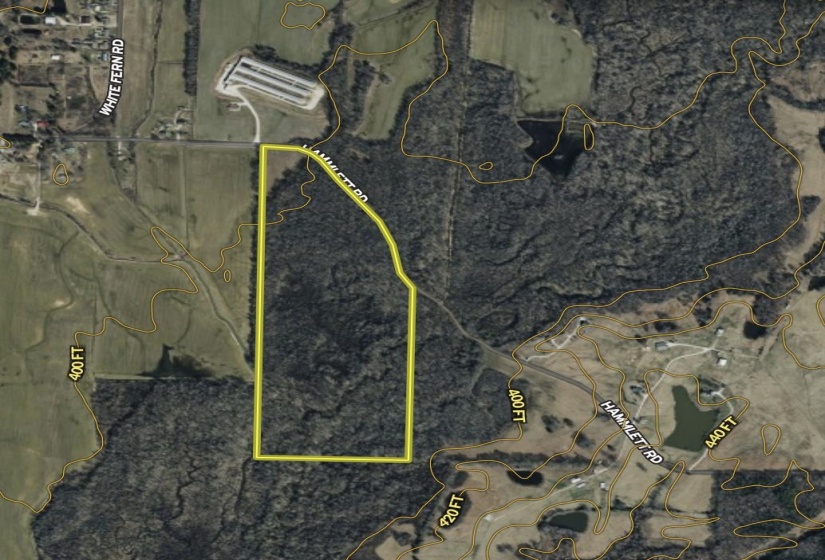0 HAMMLETT RD, Beech Bluff, Tennessee 38313, 0 , 0 ,0,Land,For Sale,HAMMLETT,0,10218254