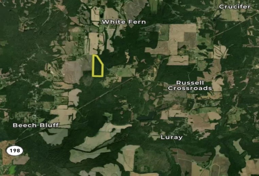 0 HAMMLETT RD, Beech Bluff, Tennessee 38313, 0 , 0 ,0,Land,For Sale,HAMMLETT,0,10218254
