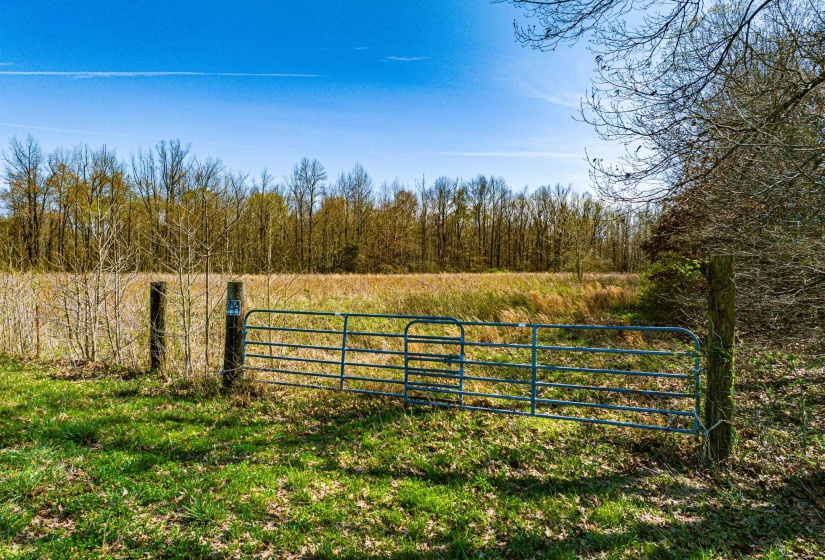 0 HAMMLETT RD, Beech Bluff, Tennessee 38313, 0 , 0 ,0,Land,For Sale,HAMMLETT,0,10218254