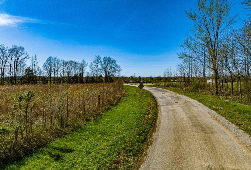 0 HAMMLETT RD, Beech Bluff, Tennessee 38313, 0 , 0 ,0,Land,For Sale,HAMMLETT,0,10218254