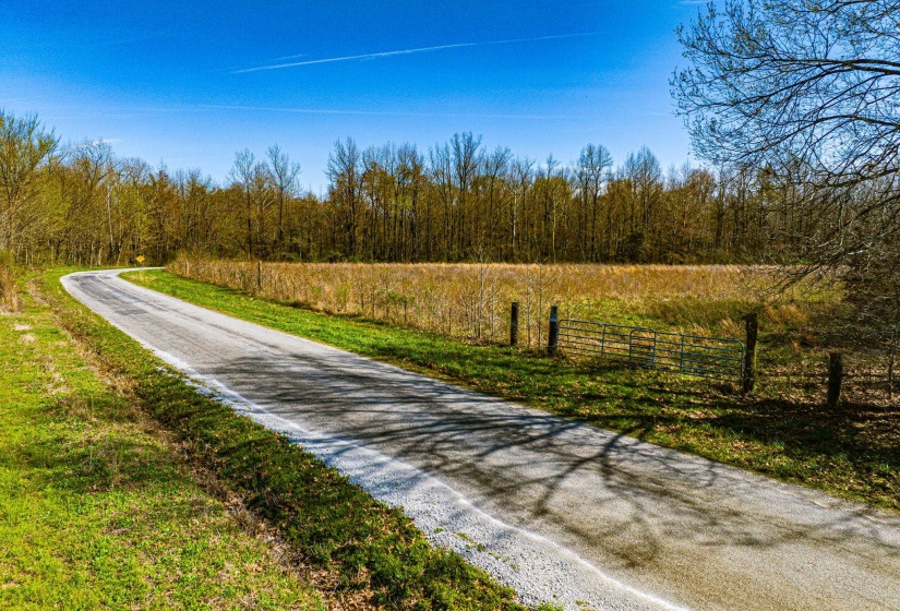 0 HAMMLETT RD, Beech Bluff, Tennessee 38313, 0 , 0 ,0,Land,For Sale,HAMMLETT,0,10218254
