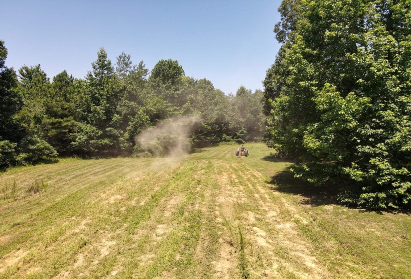 Expansive land parcel featuring cleared areas and abundant mature trees