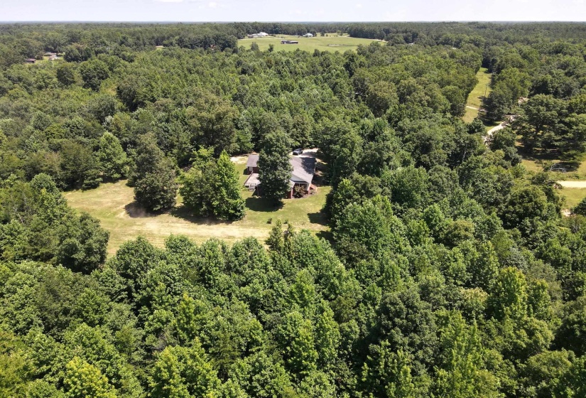 Expansive wooded acreage featuring a single-story residence with a gray roof and brick siding