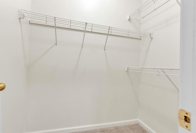 Walk in closet with light colored carpet