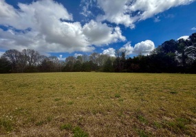 8.19 AC FEATHERS CHAPEL DR, Somerville, Tennessee 38068, ,Land,For Sale,FEATHERS CHAPEL,10218293 8.19 AC FEATHERS CHAPEL DR, Somerville, Tennessee 38068, ,Land,For Sale,FEATHERS CHAPEL,10218293