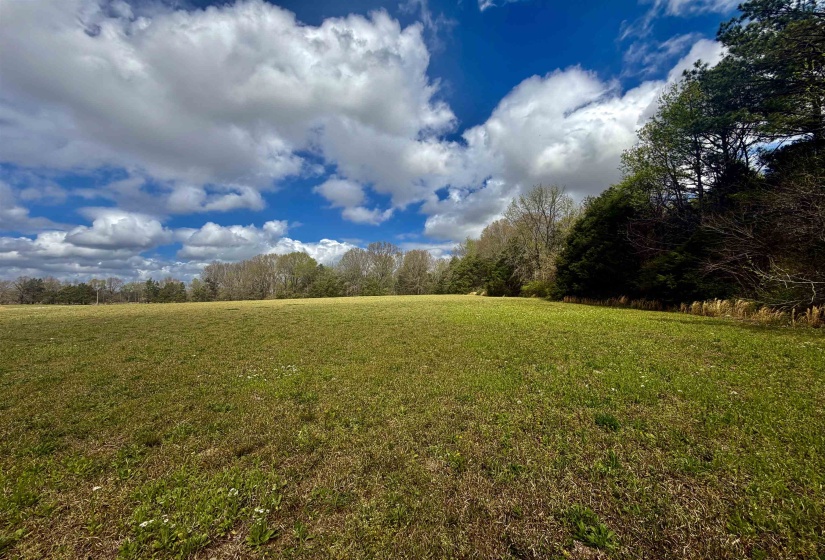 8.19 AC FEATHERS CHAPEL DR, Somerville, Tennessee 38068, ,Land,For Sale,FEATHERS CHAPEL,10218293