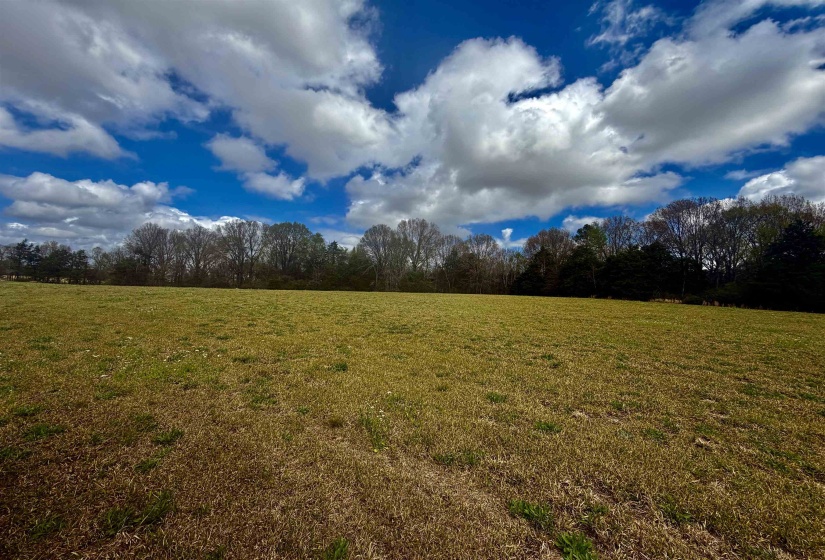 8.19 AC FEATHERS CHAPEL DR, Somerville, Tennessee 38068, ,Land,For Sale,FEATHERS CHAPEL,10218293
